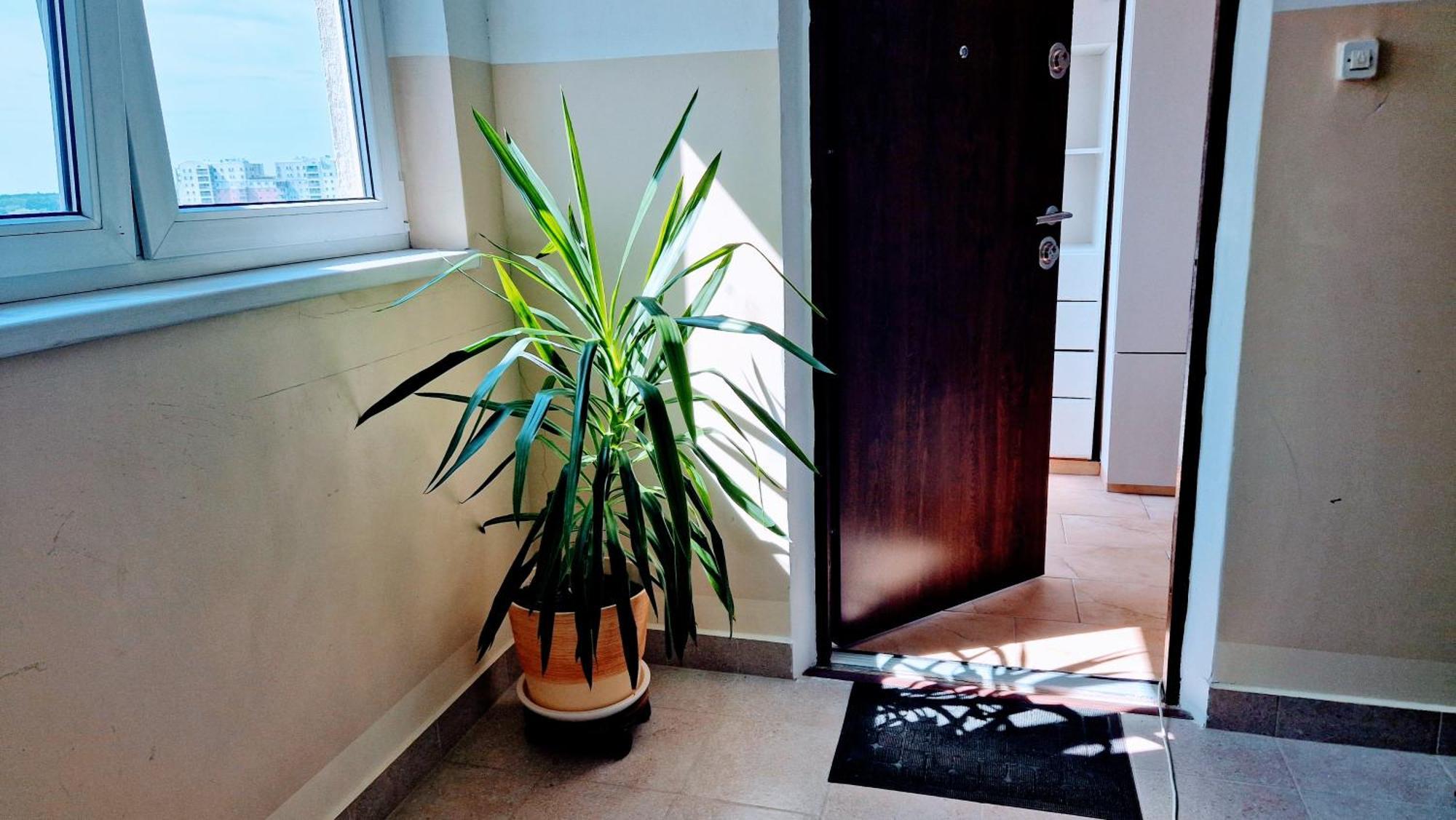 Meander Natolin Pokoje Blisko Metra Varşova Dış mekan fotoğraf